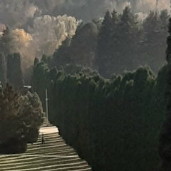 Аскер Таов, 26.08, Санкт-Петербург