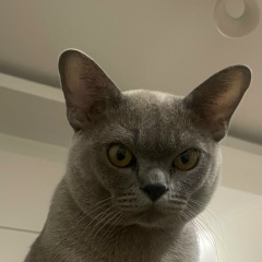 Elena Evstyushkina, 07.10, Москва