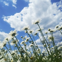 Наталия Наташина