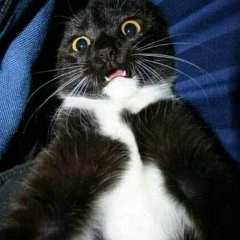 Ivanna Maslennikova, 25.01.1989, Санкт-Петербург