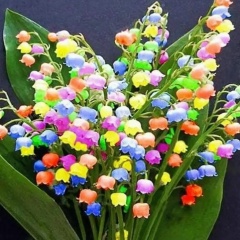 Svetik Fialka, 15.03.1975, Тернополь