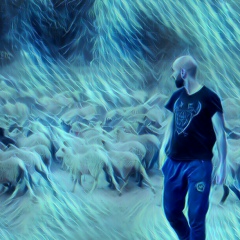 Сейфуддин Александр, Донецк