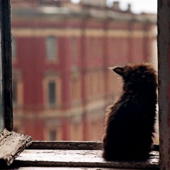 Руслан Малышенко, 22.09.1988, Киев