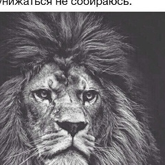 Ибрагим Тасуев, Грозный