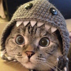 Александр Шин, 30.12.1974, Москва