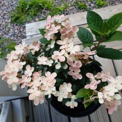 Ирина Морозова, 06.08, Санкт-Петербург