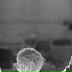 Сергей Фадеев, 30.06.1981, Минск