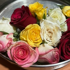 Ксения Зубенко, 02.02.2000, Санкт-Петербург