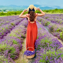 Мариника Самадхи, 28.12