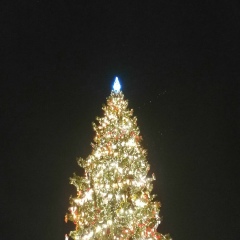 Евгений Хлебников