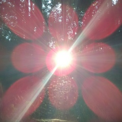 Александр Горожанин, 01.02.1975, Харьков