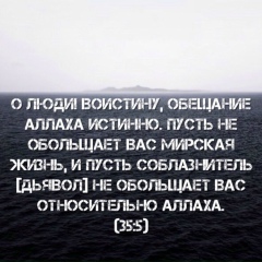 Замир Магомедов, 22.07.1995, Москва