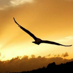 Екатерина Инжеева, 25.02.1987, Костанай