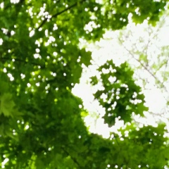 Валентин Столяров, 06.09, Чебоксары