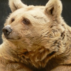 Сергей Кашин, 13.03.1997, Подольск