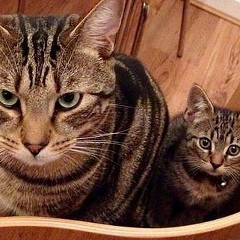 Алёша Николаев, 01.04, Москва