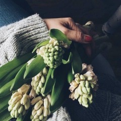 Оленка Старух, 25.07, Дрогобыч