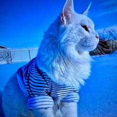 Ксения Малиновская, 22.04, Кронштадт