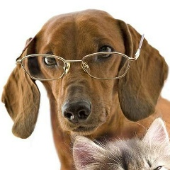 Антон Антонов, 04.03, Мурманск