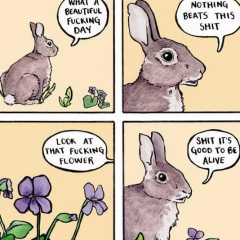 Ксения Максимова, Калининград