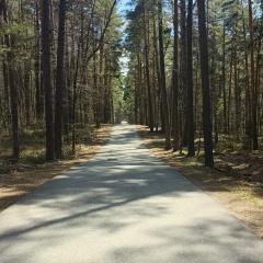 Димка Александрович, Казань