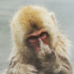 Ванька Якушик, 29.06.1989, Киев