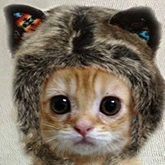 Mari Mari, 02.01.1985, Омск