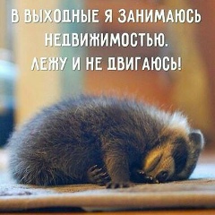 Данияр Конаков, 10.04.1985, Алматы