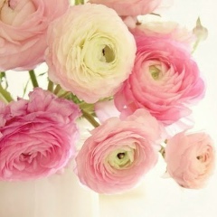 Евгения Максимова, 29.08.1985, Москва