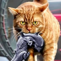 Евгений Каргопольцев, 12.06, Санкт-Петербург