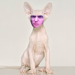 Vbieuf Fcjy, Санкт-Петербург