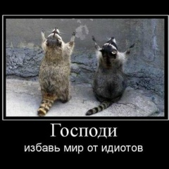 Елена Алексеева, 01.04, Санкт-Петербург