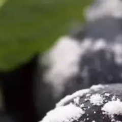 Виктория Мячина, 16.05, Москва