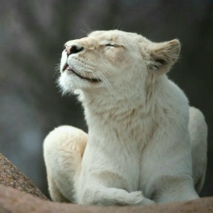 Людмила Орлова, 26.09, Санкт-Петербург