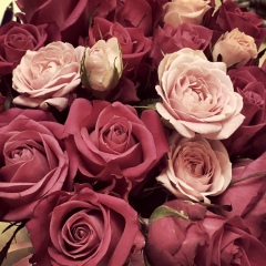 Камила Акимбекова, 09.10, Алматы