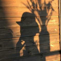 Ольга Никифорова, 25.02, Санкт-Петербург