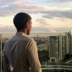 Владимир Гулин
