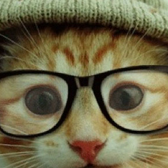 Евгений Головко, 17.10.1984, Москва