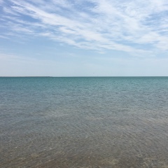 Арслан Сайдуллаев, 21.08.1991, Алматы