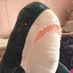 Айзере Жансагимова, 12.04, Караганда