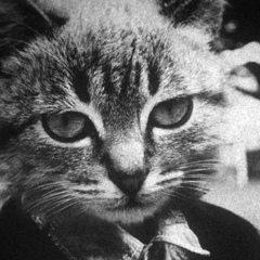 Андрей Смирнов, 30.10.1983, Пермь