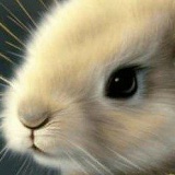 Николай Лопасин, 05.01, Чериков