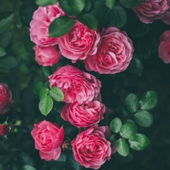 Зарета Ингушка, 08.06.1991, Алматы