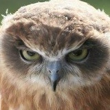 Макс Девяткин, 04.10, Екатеринбург