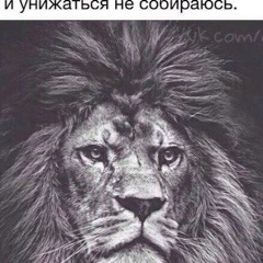 Эльдар Эльдаров, 10.04, Грозный
