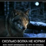 Александр Одинокий-Волк