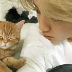 Jonny Oh, 11.03, Rio de Janeiro