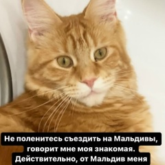 Сергей Тютин, Москва