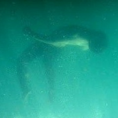 Александр Гончаров, 14.09.1989, Москва