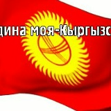 Мирко Кро-Коп, 09.08.1988, Москва